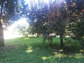 giardino-10.jpg