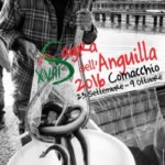Eel Festival 2016 Eel Festival 2016