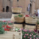 Giardini Estensi 2018